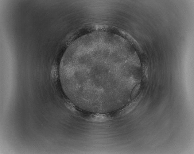 X0000112180475200909181437
