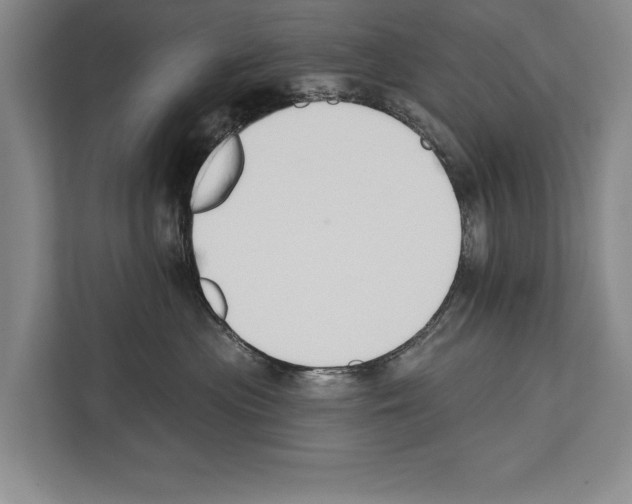 X0000112180477200909181437