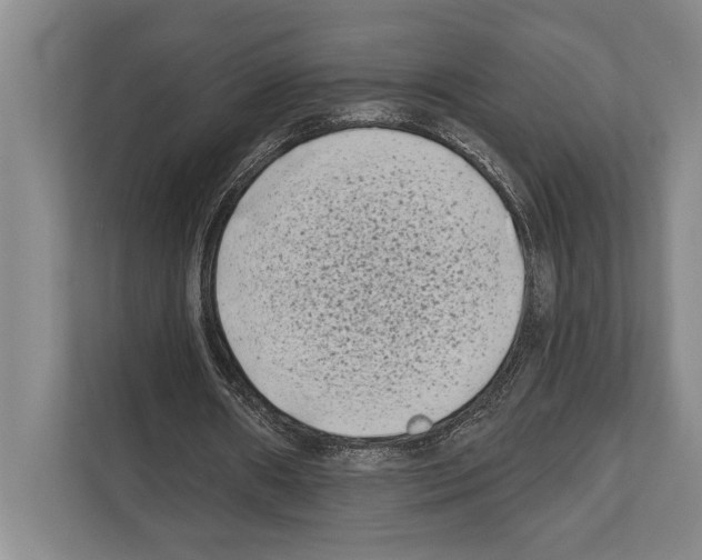 X0000112180482200909181436