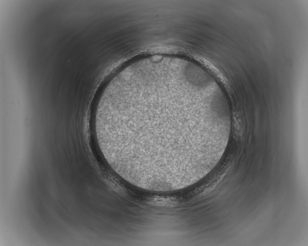 X0000112180487200909181436
