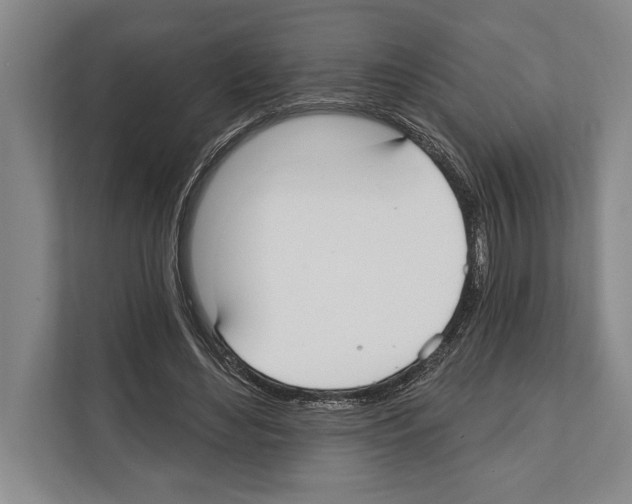 X0000112180492200909181436