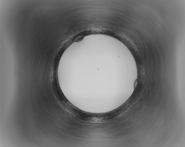 X0000112180496200909181436