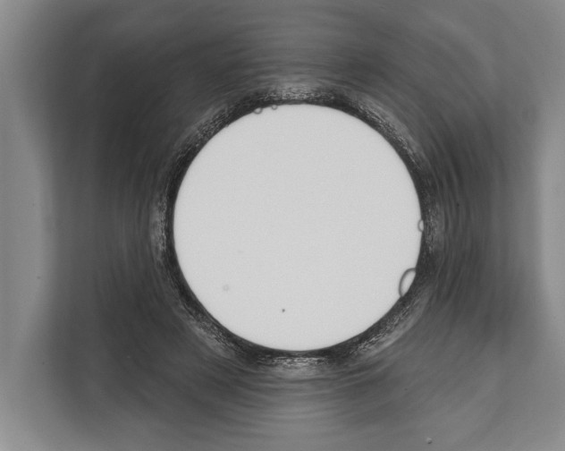 X0000112180497200909181436
