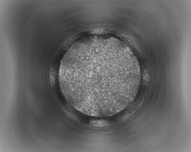 X0000112180503200909181436
