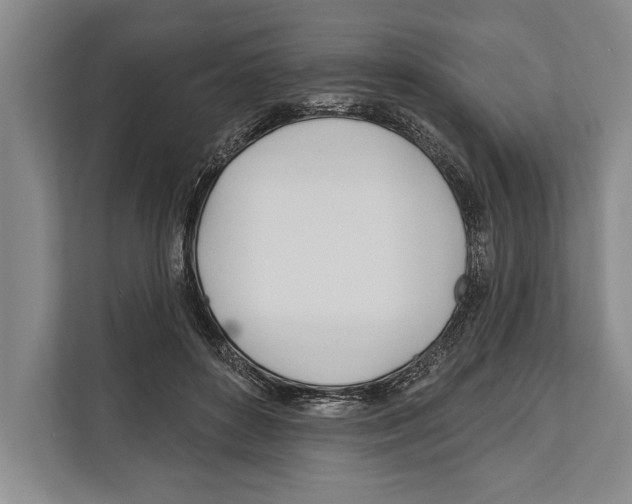 X0000112180504200909181436