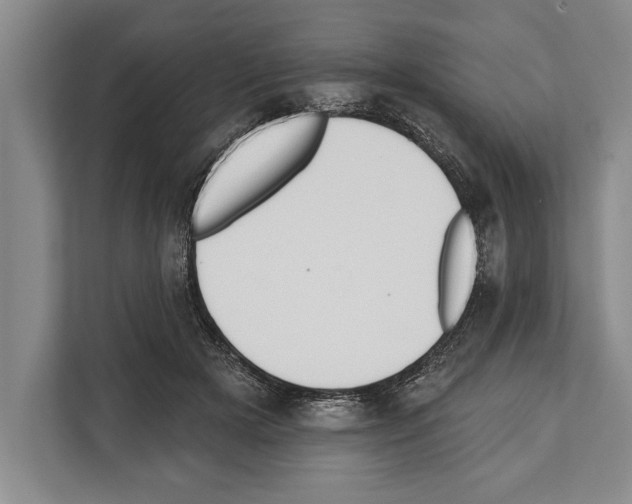 X0000112180505200909181436