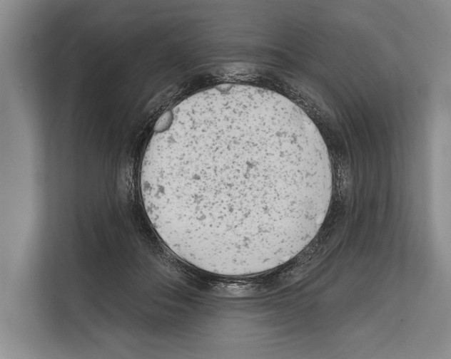 X0000112180506200909181436
