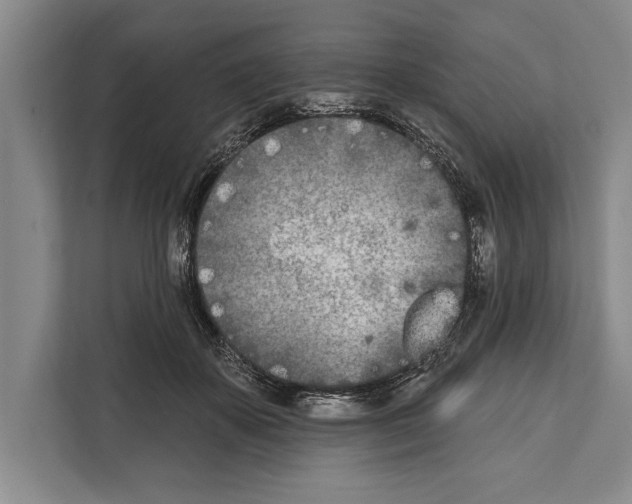 X0000112180507200909181436