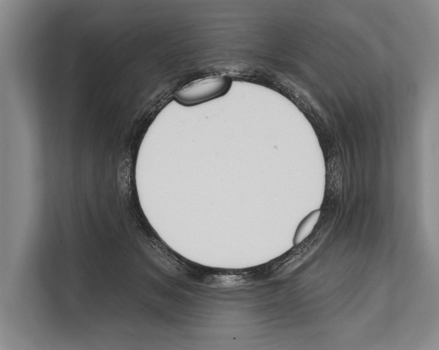 X0000112180509200909181436