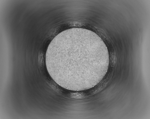 X0000112180511200909181436