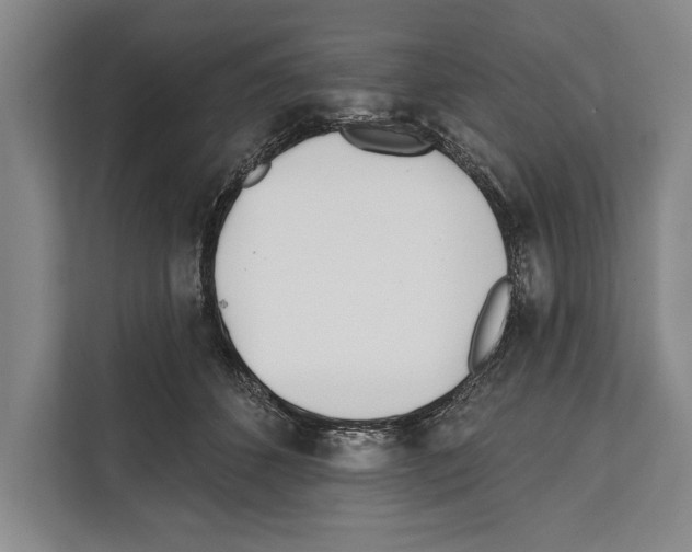 X0000112180512200909181436