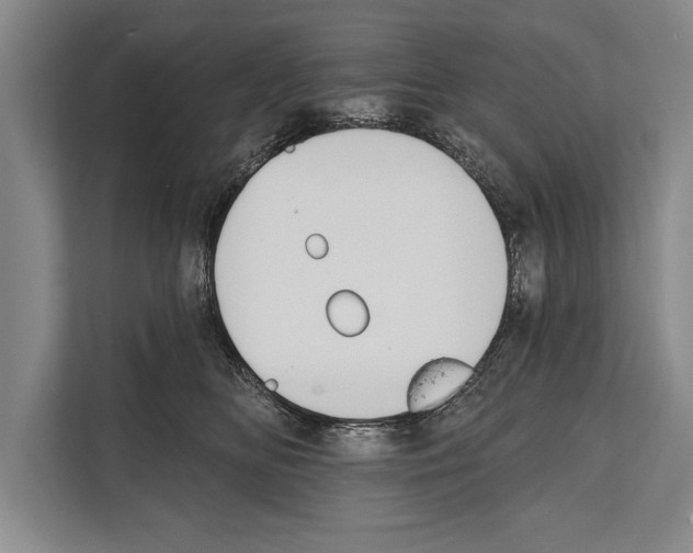 X0000112180518200909181436