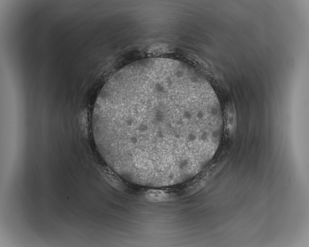 X0000112180519200909181436