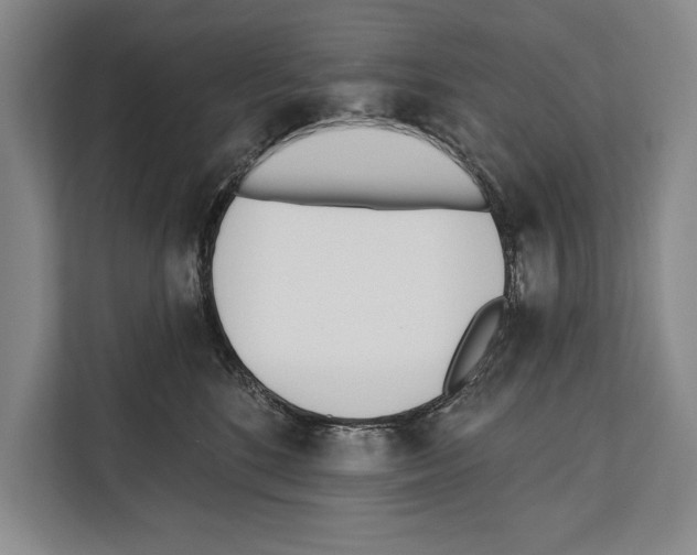 X0000112180520200909181436
