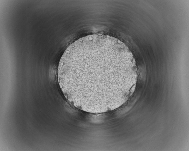 X0000112180527200909181436