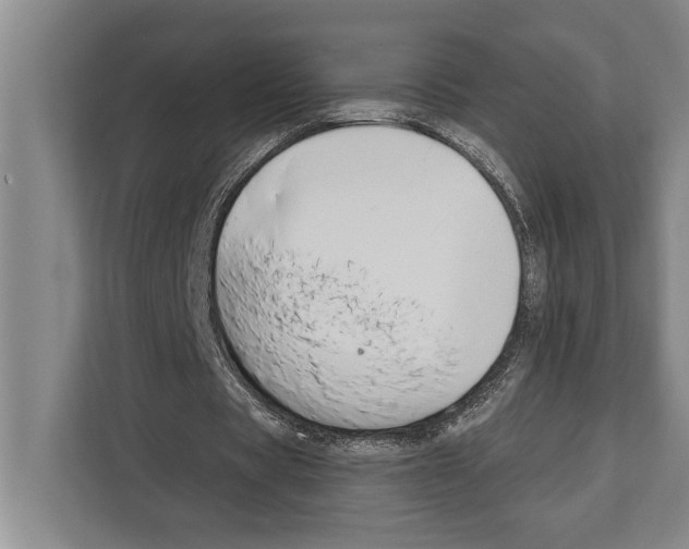 X0000112180529200909181435