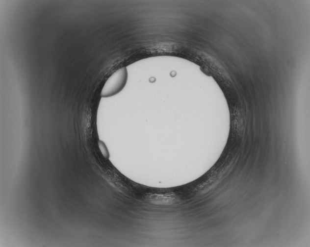X0000112180548200909181436