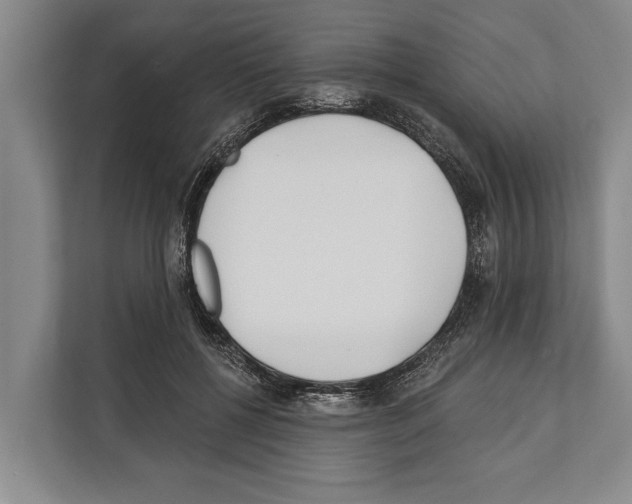 X0000112180552200909181436