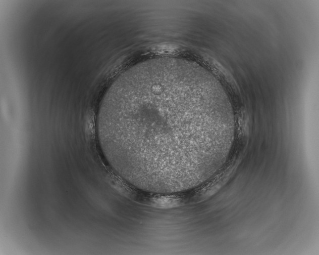 X0000112180561200909181436