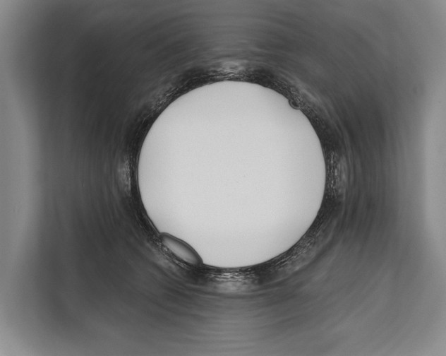 X0000112180562200909181436