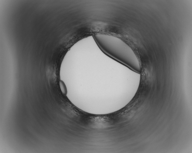 X0000112180566200909181436