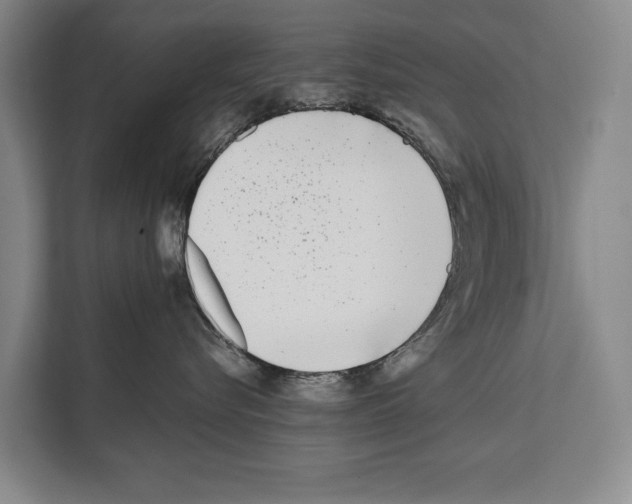 X0000112180576200909181436