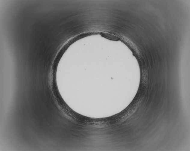 X0000112180580200909181435