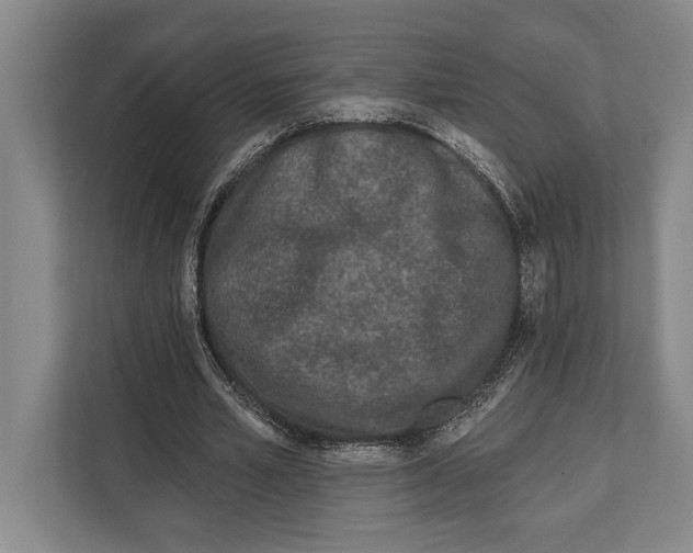 X0000112180581200909181435