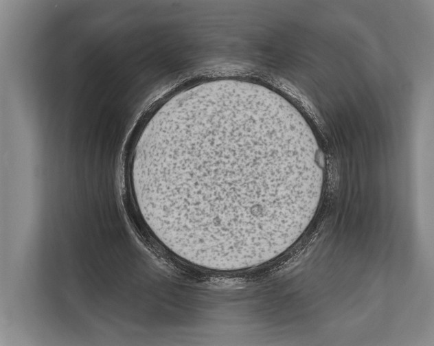 X0000112180582200909181435