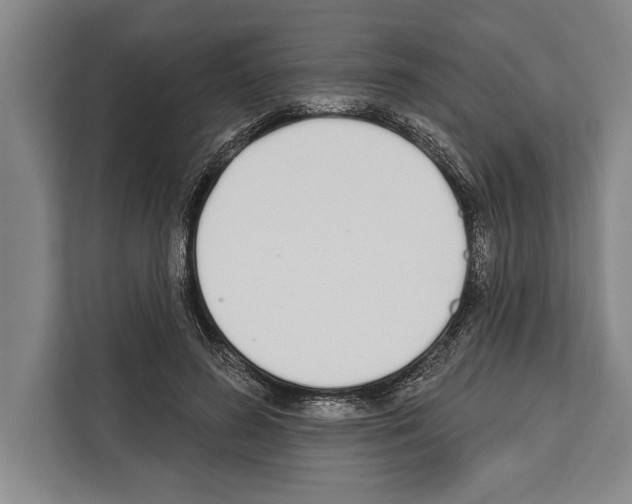X0000112180596200909181435