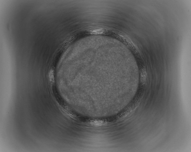 X0000112180598200909181435