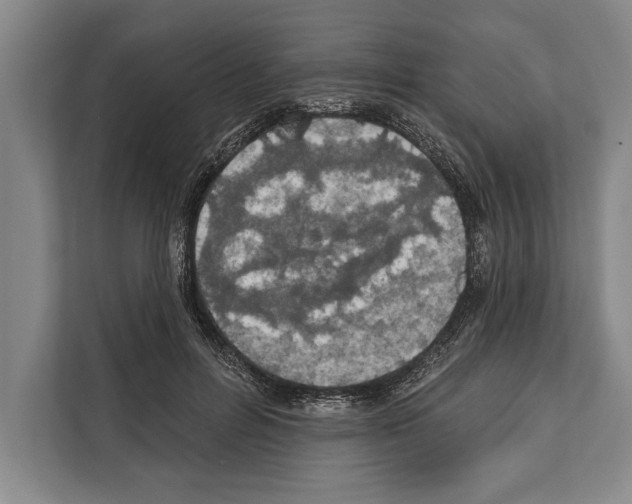 X0000112180600200909181435