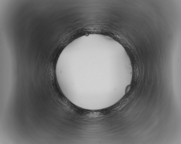 X0000112180609200909181435