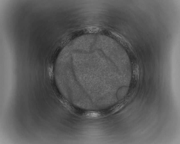 X0000112180610200909181435