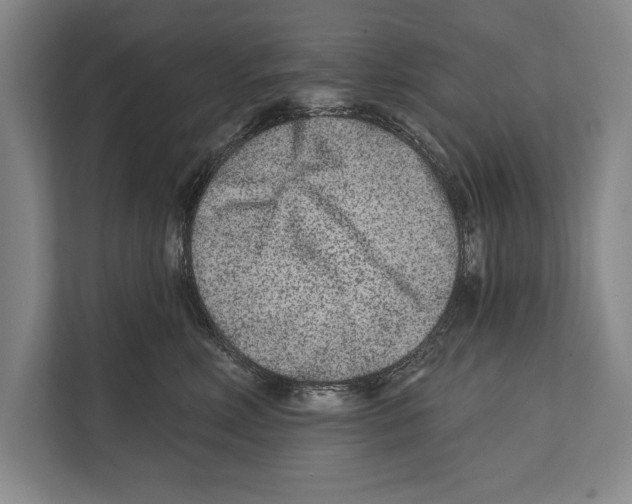 X0000112180618200909181435
