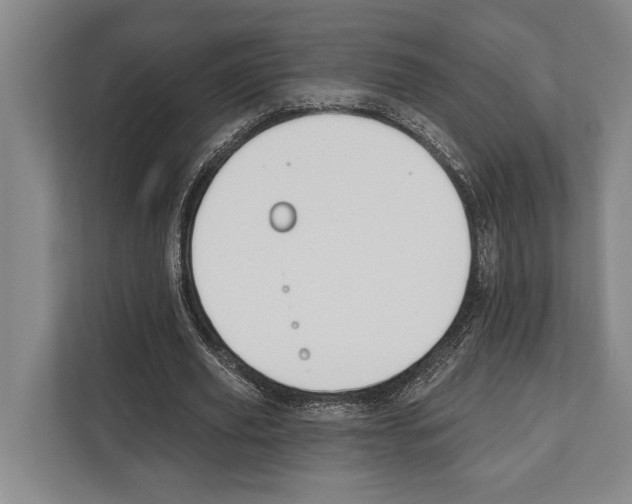 X0000112180629200909181434