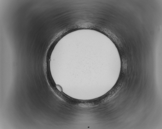 X0000112180630200909181434