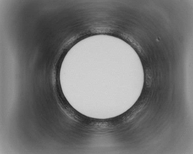 X0000112180631200909181434