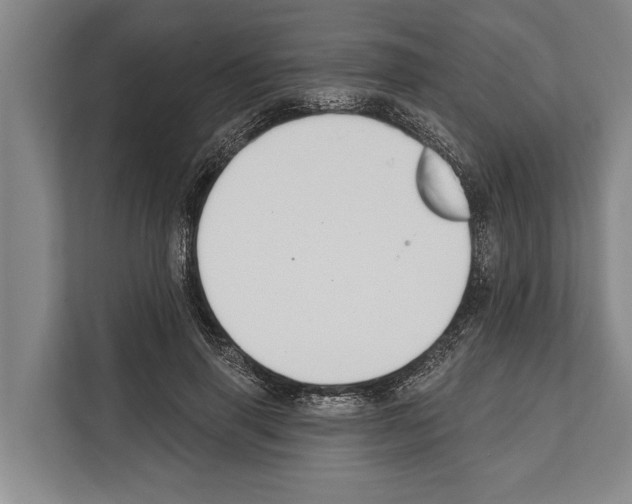 X0000112180645200909181434