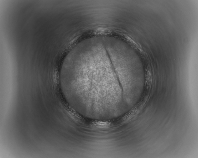X0000112180659200909181434
