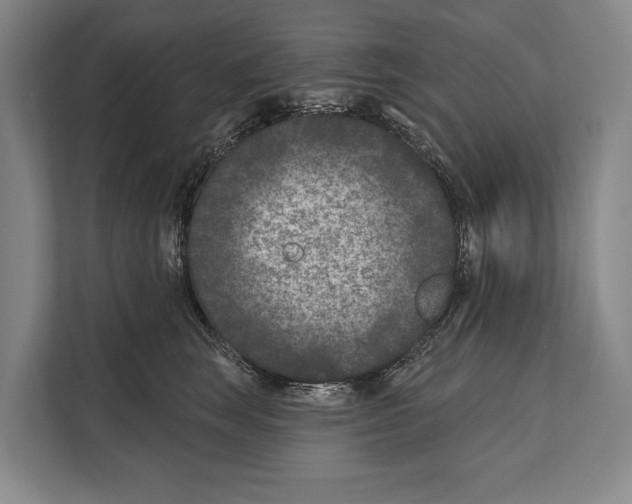 X0000112180663200909181435