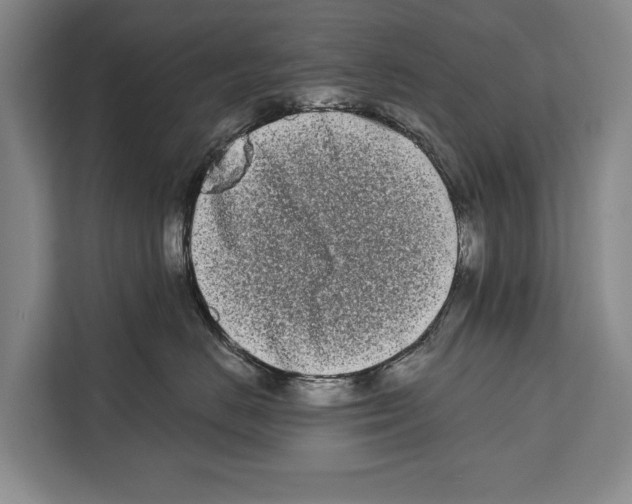 X0000112180670200909181435