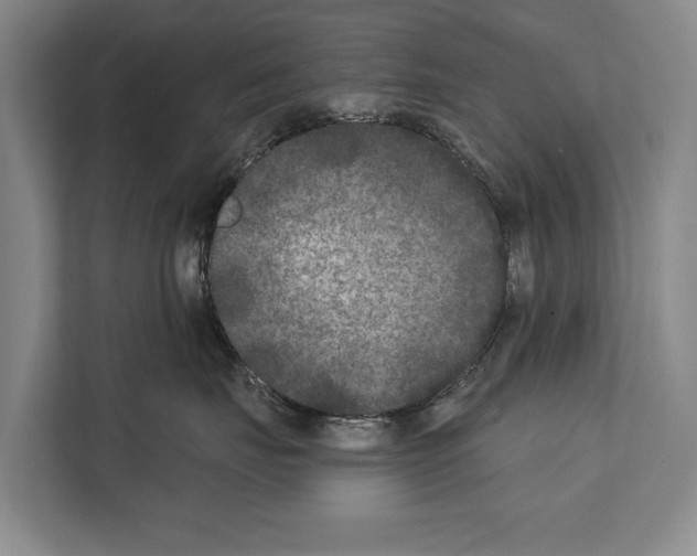 X0000112180671200909181435