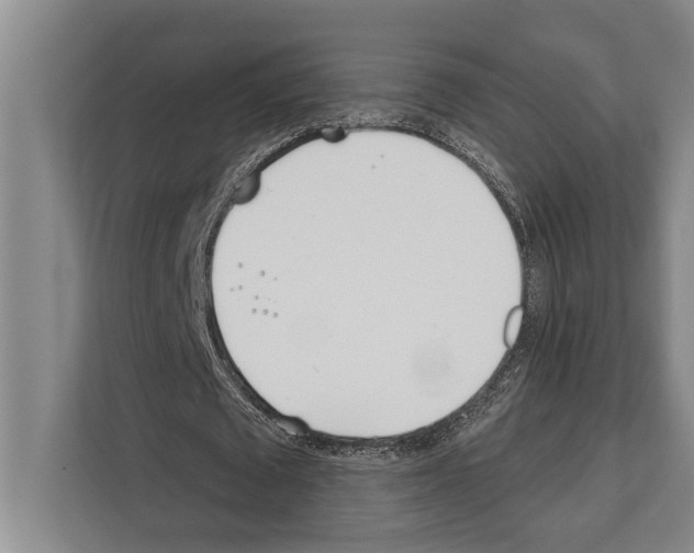 X0000112180673200909181434