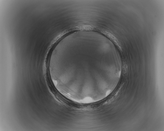 X0000112180674200909181434