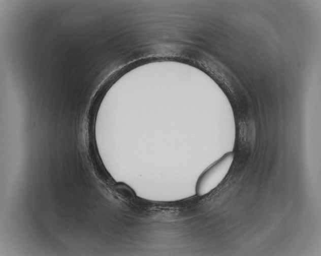 X0000112180676200909181434