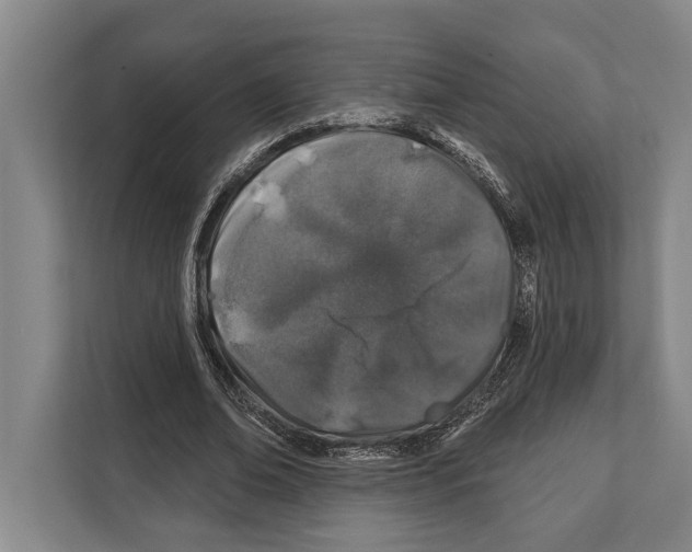 X0000112180678200909181434