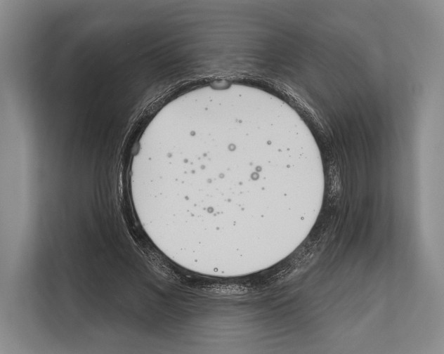 X0000112180685200909181434