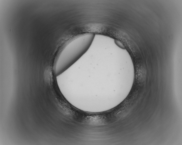 X0000112180688200909181434