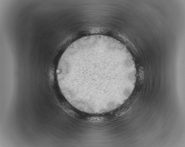 X0000112180691200909181434